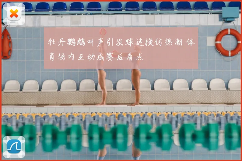 牡丹鹦鹉叫声引发球迷模仿热潮 体育场内互动成赛后看点