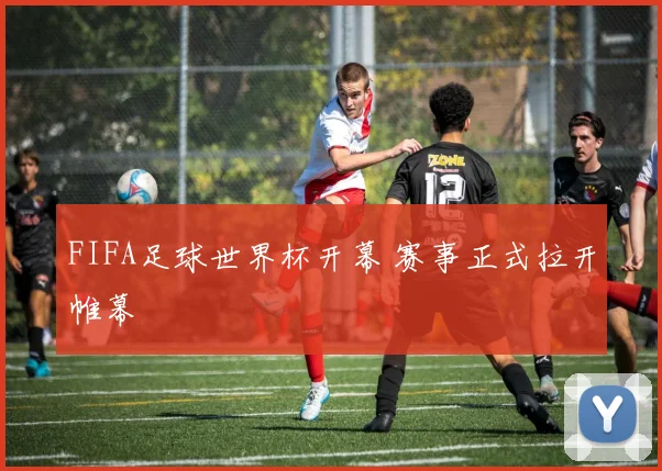 FIFA足球世界杯开幕 赛事正式拉开帷幕