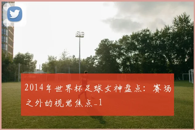 2014年世界杯足球女神盘点：赛场之外的视觉焦点_1