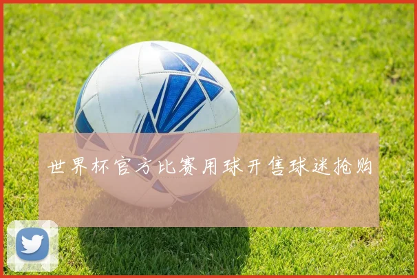 世界杯官方比赛用球开售球迷抢购