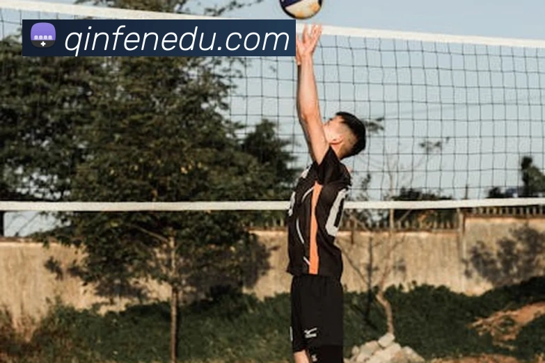 世界杯开户平台平台生态图